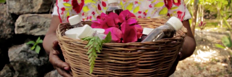banner
